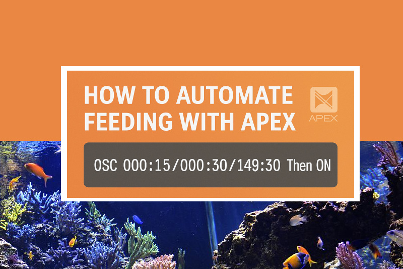 How to Use Apex OSC to Automate Your Plank Feeder