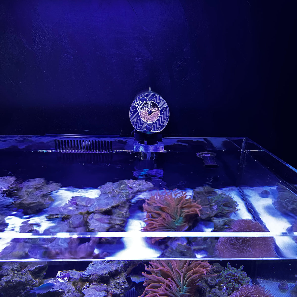 Avast_Marine_Plank3.6 on reef tank